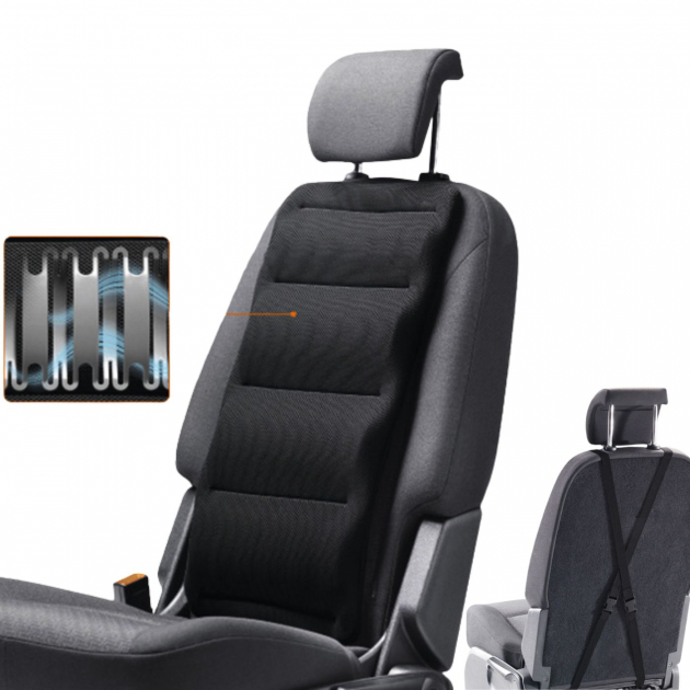 Froli back support cushion