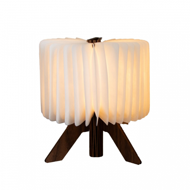 Table Lamp R-Shapelamp
