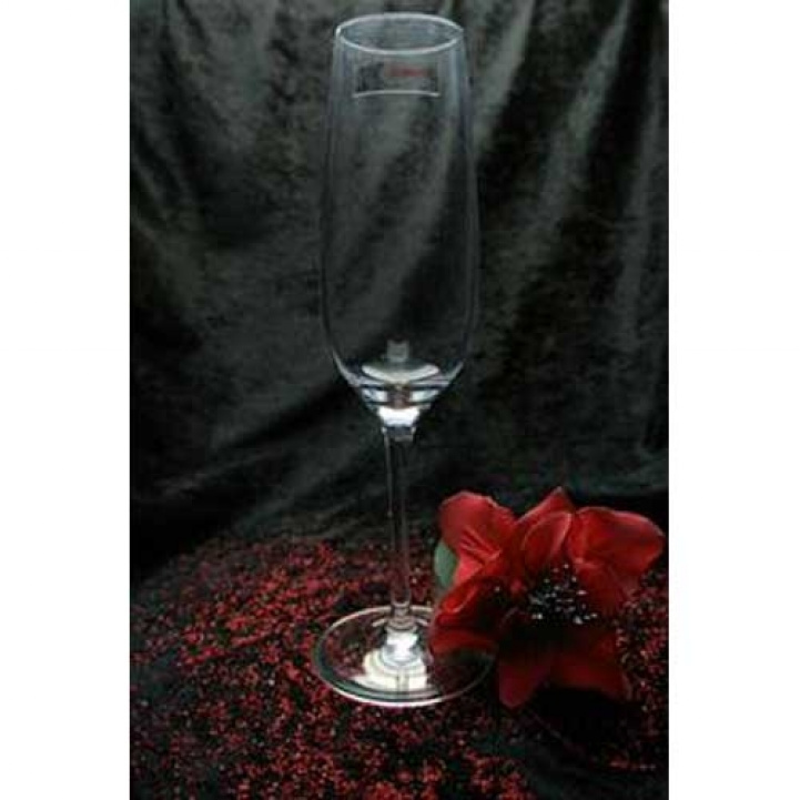 Semona champagne glass in the group Household & Kitchen / Glass & Mugs / Champagne glass at Campmarket (66437)