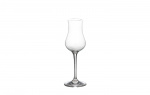 Eleganza Grappa Glass 2-pack