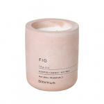 Ask Scented Candle Fig