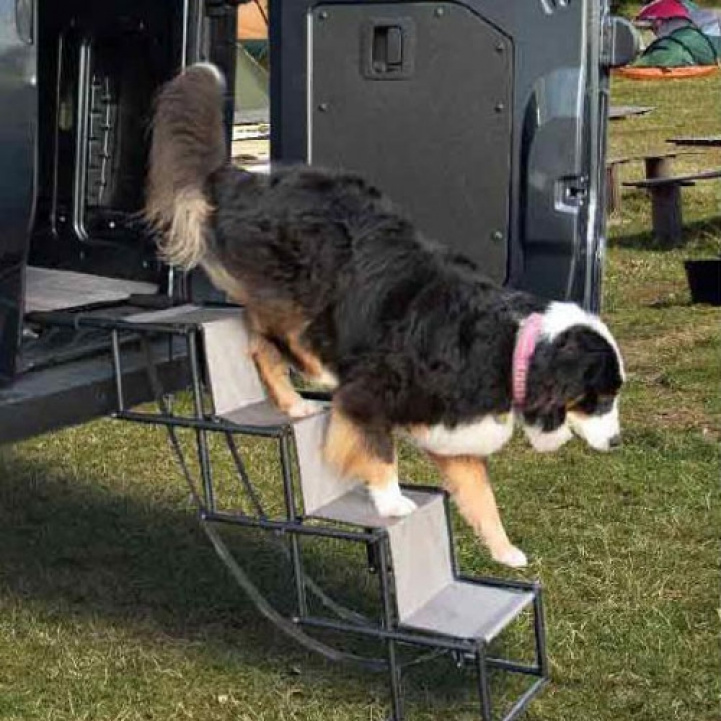 Camp4 Dog Stairs Jil Foldable in the group Other / For the Pets at Campingvaruhuset i Norden AB (69929)