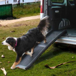 Camp4 Dog Ramp Zora