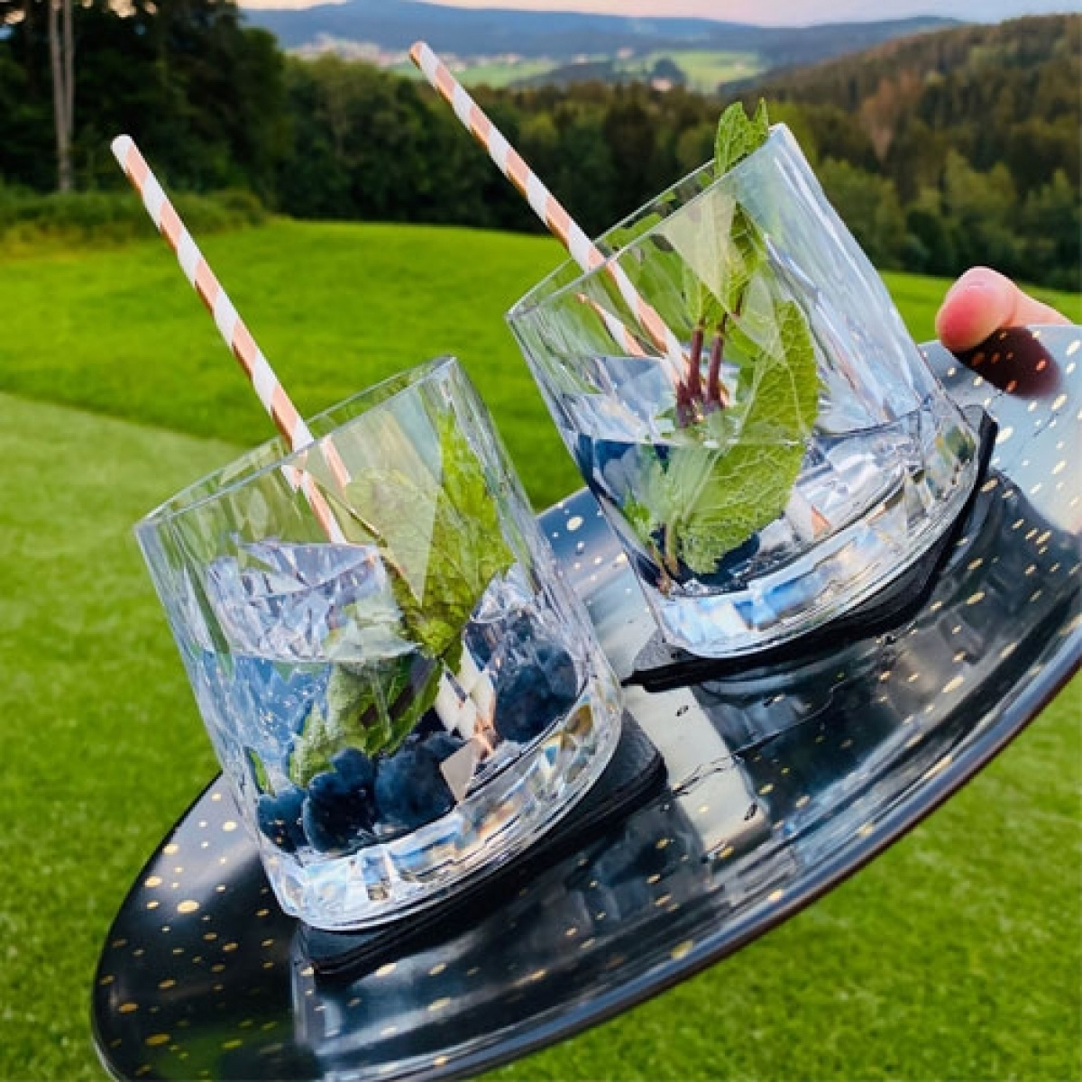 Silwy Drinking Glass Magnetic 2-Pack in the group Household & Kitchen / Glass & Mugs / Magnetic Glass at Campingvaruhuset i Norden AB (72144)