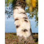 Lambskin Molly 180x60cm Royal Camping Lambskin Molly 180x60cm Royal Camping