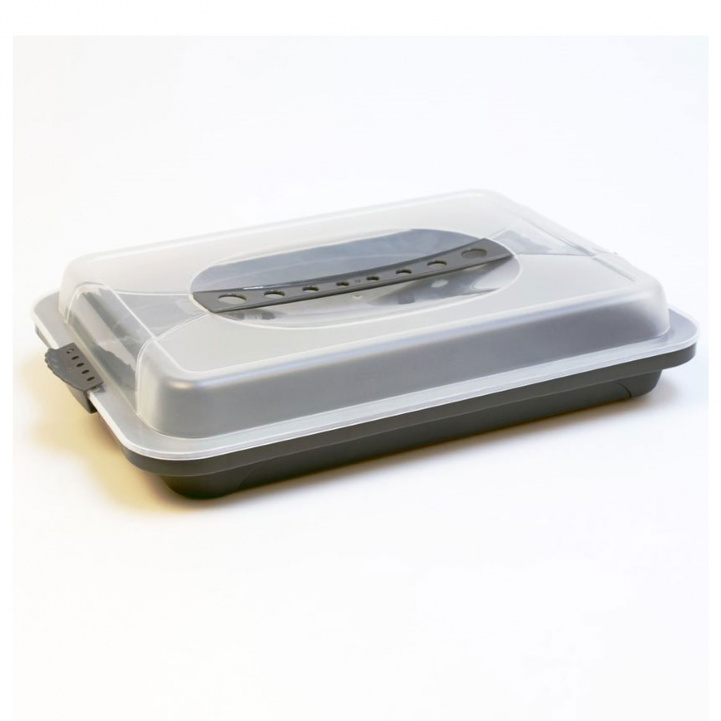 Cookie box with handle in the group Household & Kitchen / Serving / Serving platter at Campingvaruhuset i Norden AB (76200)