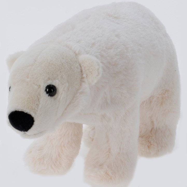 Polar bear 30cm in the group Other / Toys & Games at Campingvaruhuset i Norden AB (76489)
