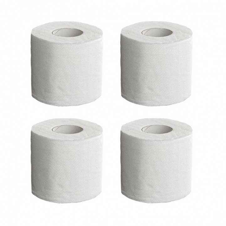Campout Toilet Paper 4-Pack in the group Water & Sanitation / Chemicals & Accessories / Toilet/Tank cleaning & Accessories at Campmarket (76634)