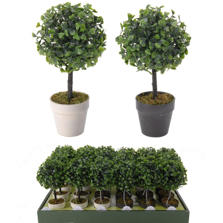 Boxwood Small Plastic in the group Home & Interior / Decoration & Comfort at Campmarket (78251)