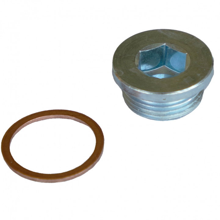 Lock screw oil pan with gasket. Ducato/Iveco. in the group Caravan & Motorhome / Body / Oils & accessories at Campingvaruhuset i Norden AB (78628)