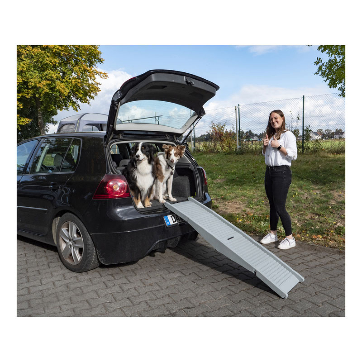 Camp4 Dog Ramp Emma in the group Other / For the Pets at Campingvaruhuset i Norden AB (79182)