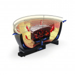 Table grill Vesuvio with fan for charcoal Ø33cm