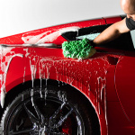 Turtle Ceramic Wash & Wax Turtle Ceramic Wash & Wax