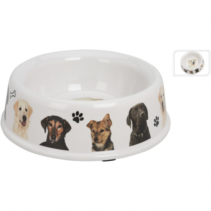 Dog food bowl 25cm in the group Other / For the Pets at Campingvaruhuset i Norden AB (81645)