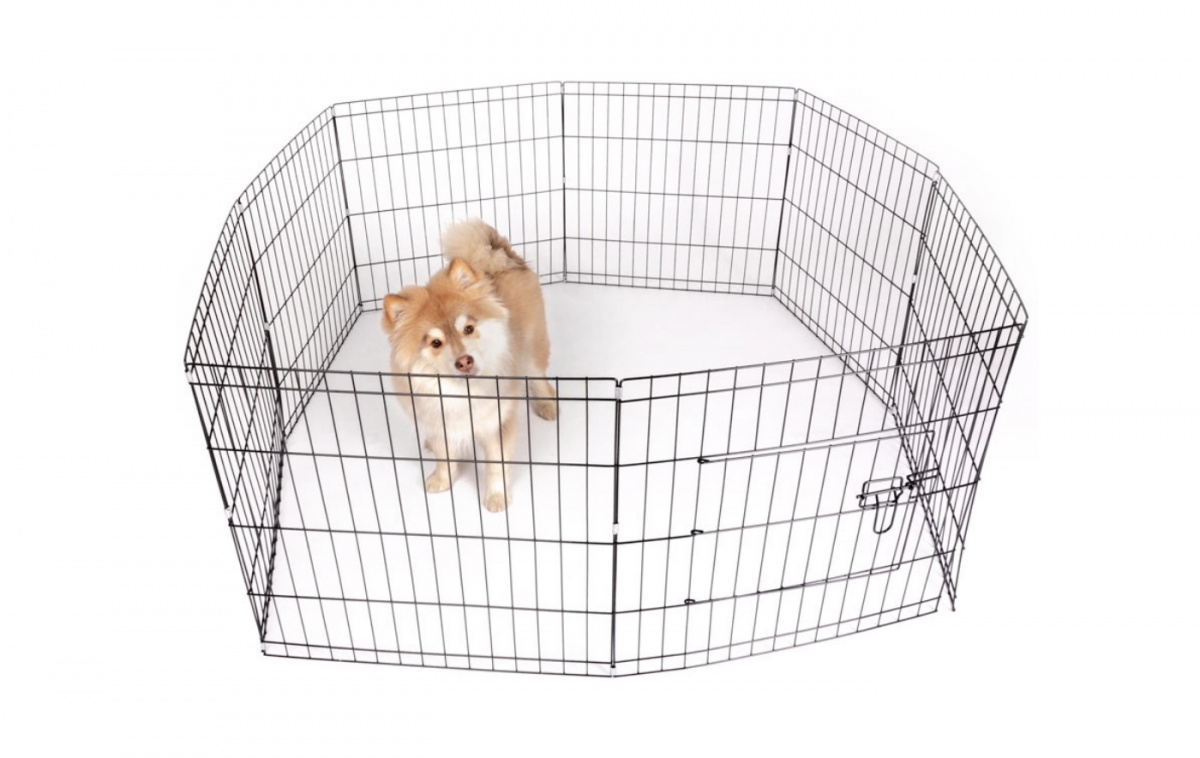 Canis Dog Kennel Active in the group Other / For the Pets at Campmarket (82857)