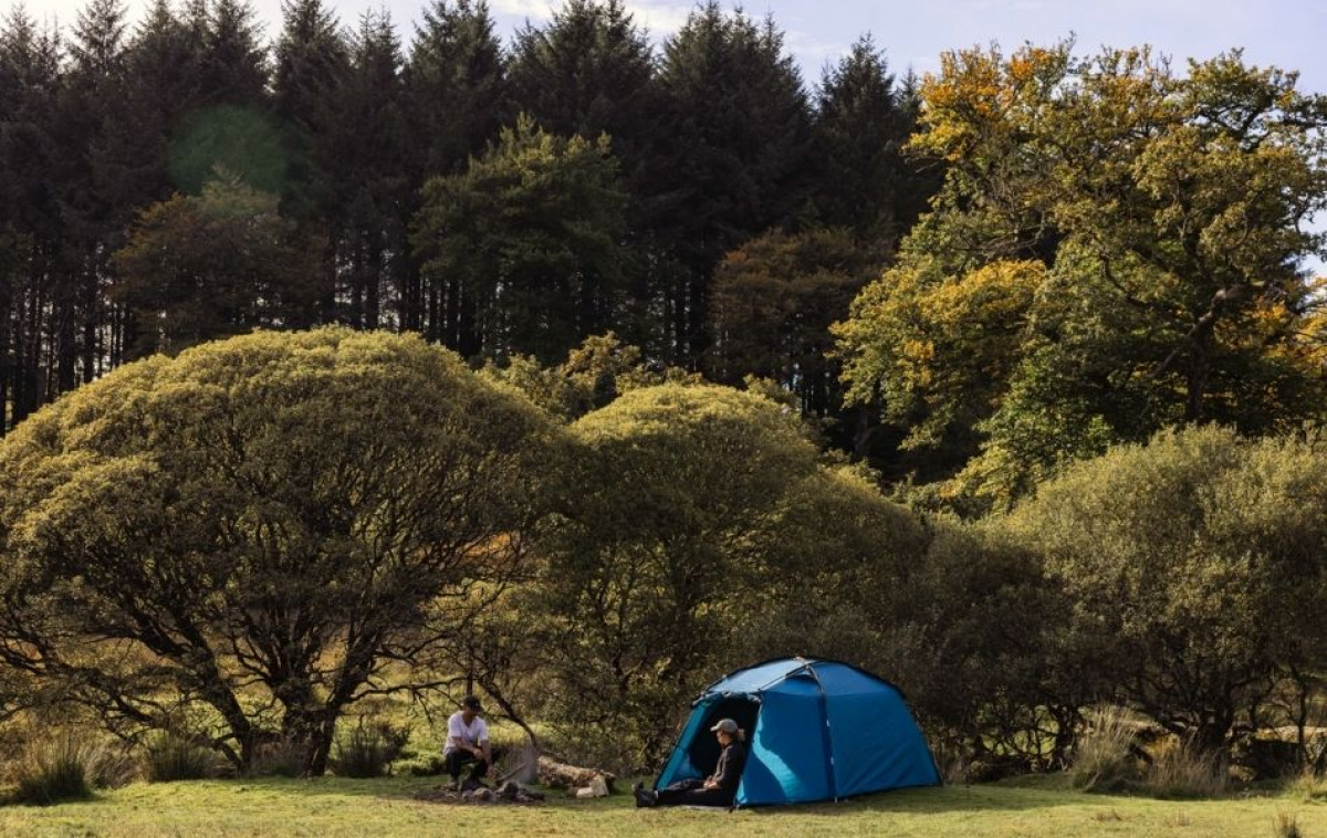 Kampa Mossborn 02 Aegean in the group Outdoor / Camping tent at Campingvaruhuset i Norden AB (82941)
