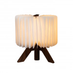 Table Lamp R-Shapelamp